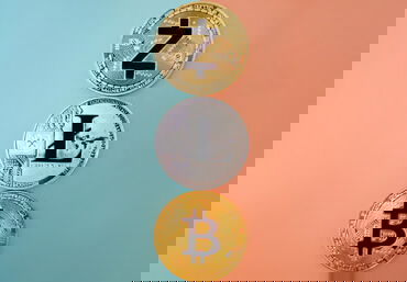 Roomedia-Blog